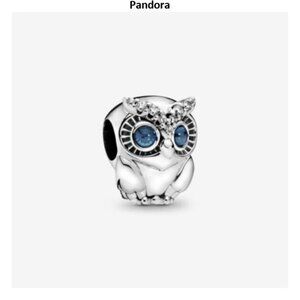 Pandora Shining Owl Charm